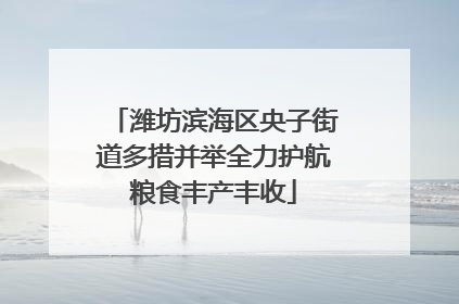 潍坊滨海区央子街道多措并举全力护航粮食丰产丰收