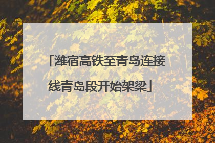 潍宿高铁至青岛连接线青岛段开始架梁