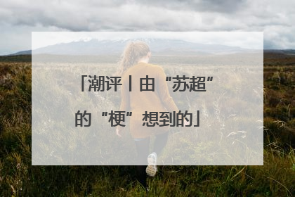 潮评丨由“苏超”的“梗”想到的