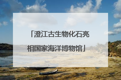 澄江古生物化石亮相国家海洋博物馆