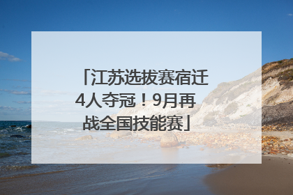 江苏选拔赛宿迁4人夺冠！9月再战全国技能赛