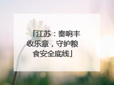 江苏：奏响丰收乐章，守护粮食安全底线