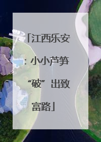 江西乐安：小小芦笋“破”出致富路