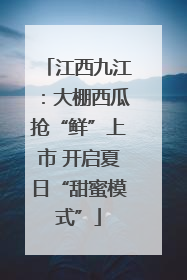 江西九江：大棚西瓜抢“鲜”上市 开启夏日“甜蜜模式”