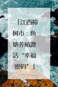 江西樟树市：鱼塘养殖激活“幸福密码”