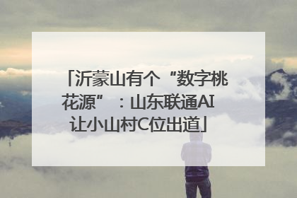 沂蒙山有个“数字桃花源”：山东联通AI让小山村C位出道