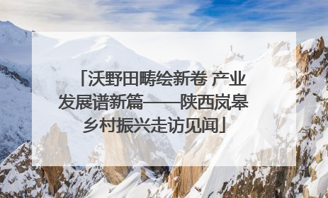 沃野田畴绘新卷 产业发展谱新篇——陕西岚皋乡村振兴走访见闻