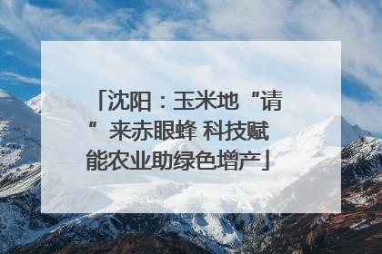 沈阳：玉米地“请”来赤眼蜂 科技赋能农业助绿色增产