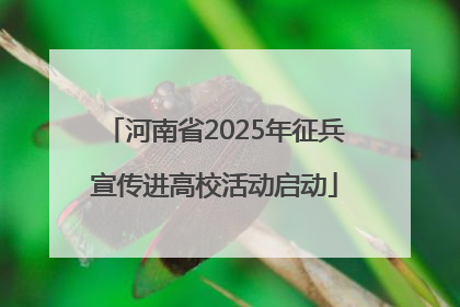 河南省2025年征兵宣传进高校活动启动