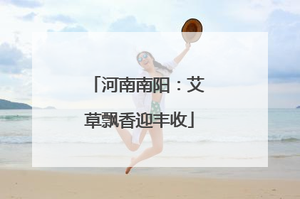 河南南阳：艾草飘香迎丰收