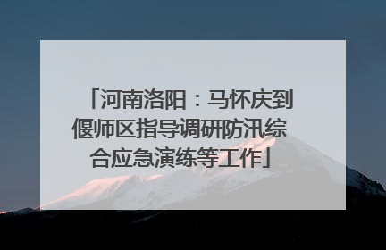 河南洛阳：马怀庆到偃师区指导调研防汛综合应急演练等工作