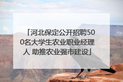 河北保定公开招聘500名大学生农业职业经理人 助推农业强市建设