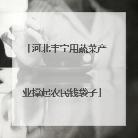 河北丰宁用蔬菜产业撑起农民钱袋子
