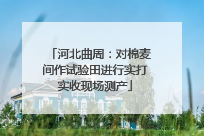 河北曲周：对棉麦间作试验田进行实打实收现场测产