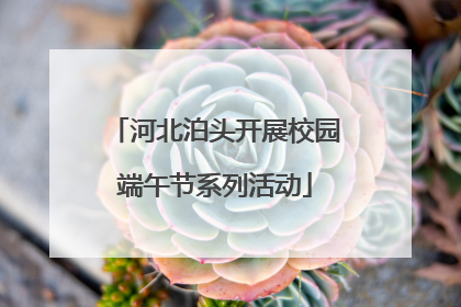 河北泊头开展校园端午节系列活动
