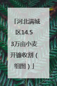 河北满城区14.53万亩小麦开镰收割（组图）
