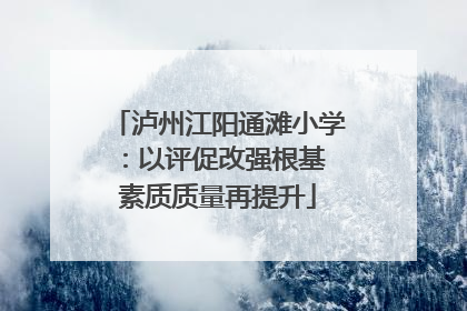 泸州江阳通滩小学：以评促改强根基 素质质量再提升