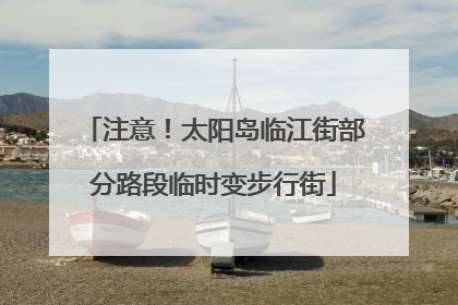 注意！太阳岛临江街部分路段临时变步行街