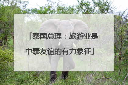 泰国总理：旅游业是中泰友谊的有力象征