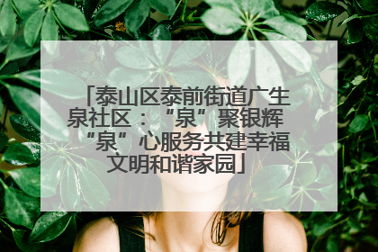 泰山区泰前街道广生泉社区：“泉”聚银辉“泉”心服务共建幸福文明和谐家园