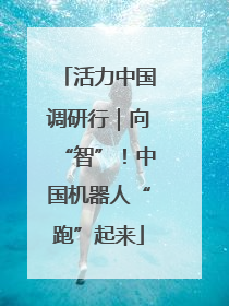 活力中国调研行｜向“智”！中国机器人“跑”起来