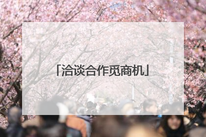 洽谈合作觅商机
