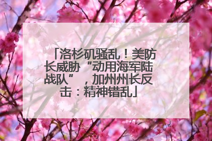 洛杉矶骚乱！美防长威胁“动用海军陆战队”，加州州长反击：精神错乱
