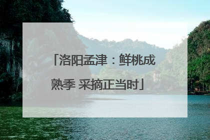 洛阳孟津：鲜桃成熟季 采摘正当时