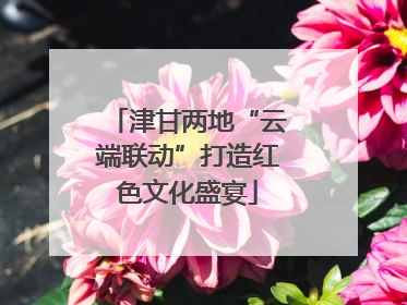 津甘两地“云端联动”打造红色文化盛宴
