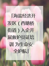 海盐经济开发区（西塘桥街道）入企开展救护员证培训 为生命安全护航