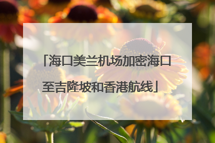 海口美兰机场加密海口至吉隆坡和香港航线