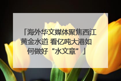 海外华文媒体聚焦西江黄金水道 看亿吨大港如何做好“水文章”