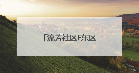 流芳社区F东区开展“多元服务暖人心，社区情谊一家亲”便民活动