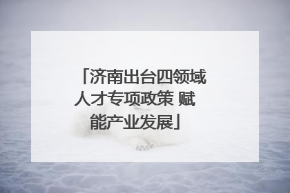 济南出台四领域人才专项政策 赋能产业发展