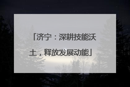济宁：深耕技能沃土，释放发展动能