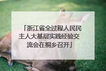 浙江省全过程人民民主人大基层实践经验交流会在桐乡召开