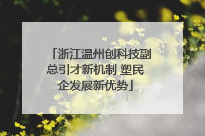 浙江温州创科技副总引才新机制 塑民企发展新优势