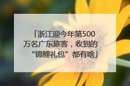 浙江迎今年第500万名广东旅客，收到的“锦鲤礼包”都有啥
