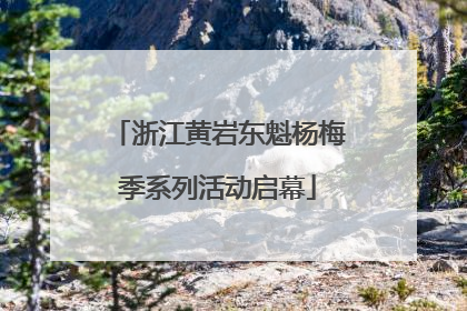 浙江黄岩东魁杨梅季系列活动启幕