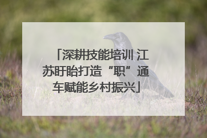 深耕技能培训 江苏盱眙打造“职”通车赋能乡村振兴