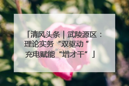 清风头条｜武陵源区：理论实务“双驱动 ” 充电赋能“增才干”
