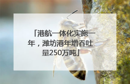港航一体化实施一年，潍坊港年增吞吐量250万吨
