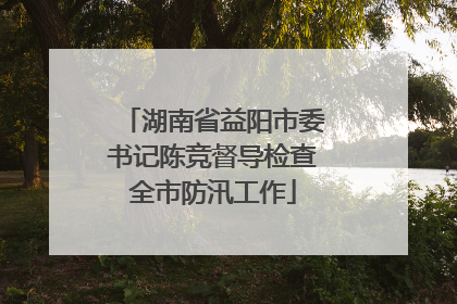 湖南省益阳市委书记陈竞督导检查全市防汛工作