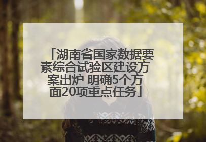 湖南省国家数据要素综合试验区建设方案出炉 明确5个方面20项重点任务