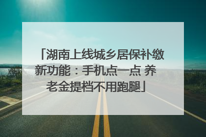 湖南上线城乡居保补缴新功能：手机点一点 养老金提档不用跑腿