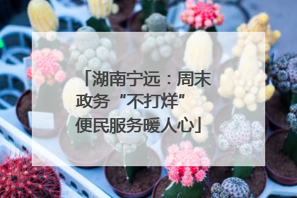 湖南宁远：周末政务“不打烊” 便民服务暖人心