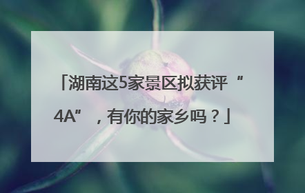 湖南这5家景区拟获评“4A”，有你的家乡吗？