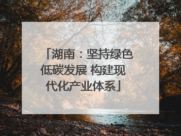 湖南：坚持绿色低碳发展 构建现代化产业体系