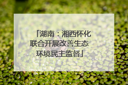 湖南：湘西怀化联合开展改善生态环境民主监督