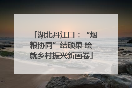 湖北丹江口：“烟粮协同”结硕果 绘就乡村振兴新画卷